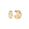 Nox Gold Earrings