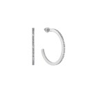 Alisha Silver Earrings