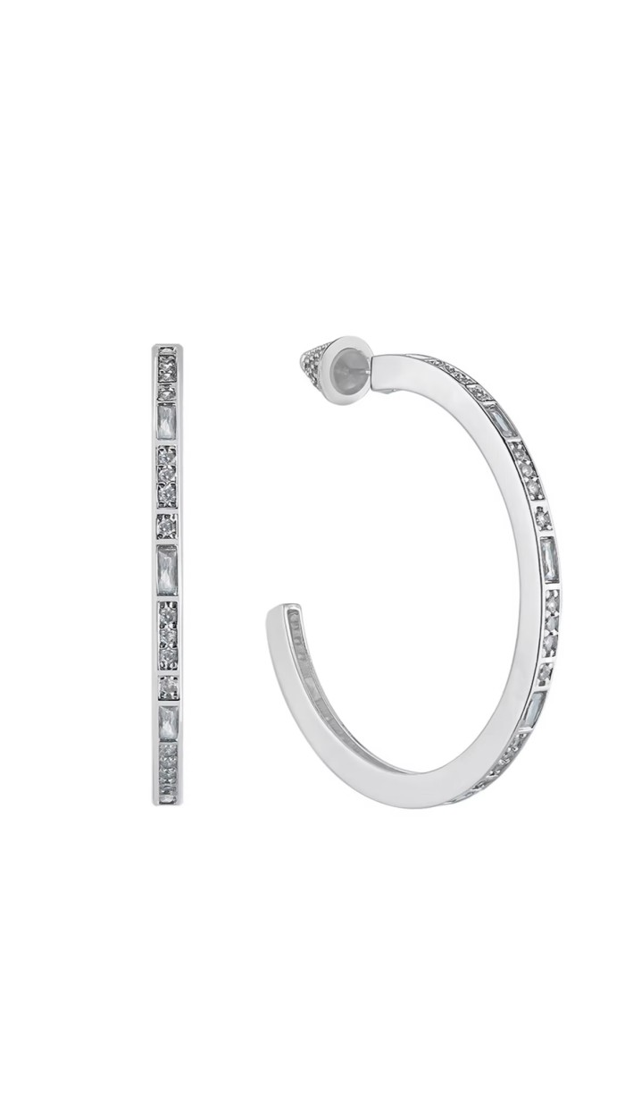 Alisha Silver Earrings