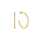 Alisha Gold Earrings 