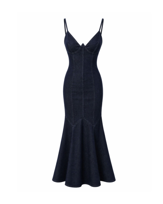 Swan Denim Elbise
