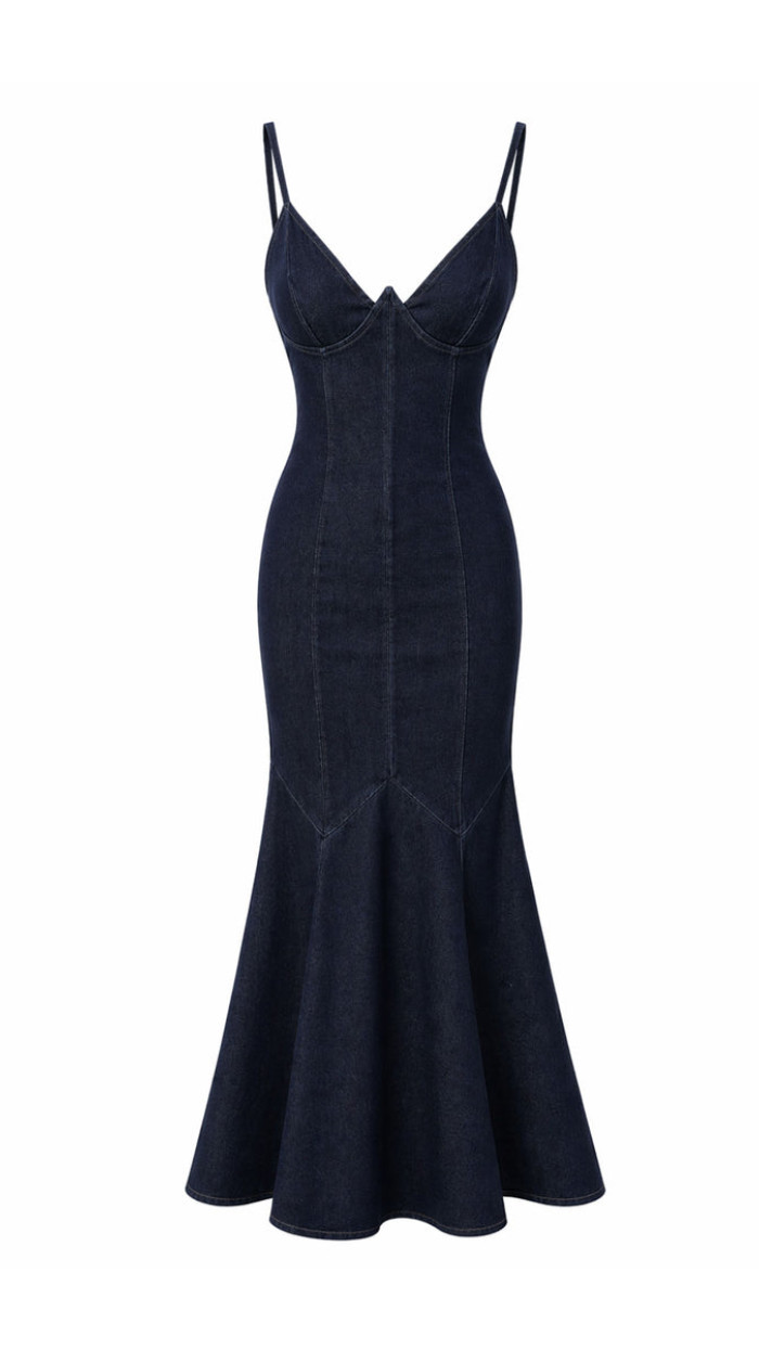 Swan Denim Elbise