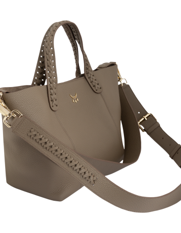 Micro Hemithia - Tarmac