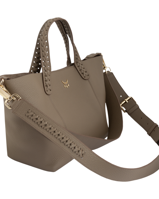 Micro Hemithia - Tarmac