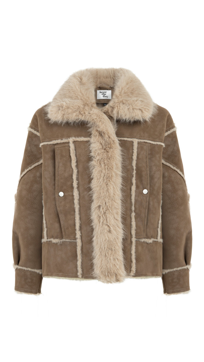 Brie Mont Camel